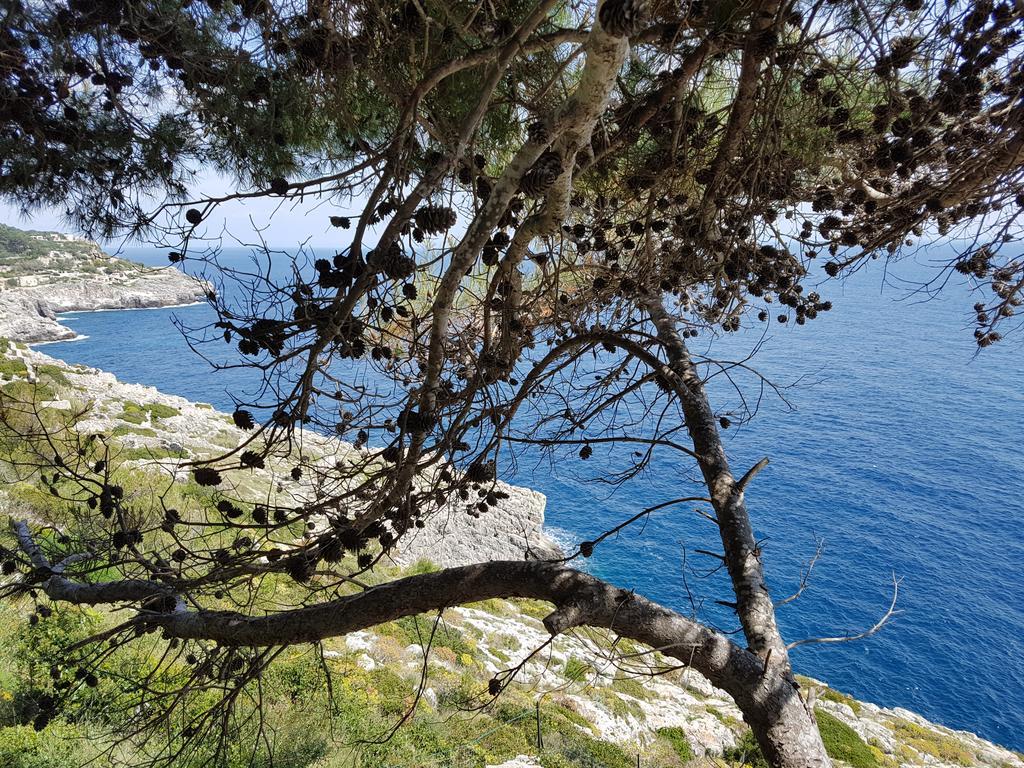 Villa Bocca Del Pozzo Gagliano del Capo Zewnętrze zdjęcie