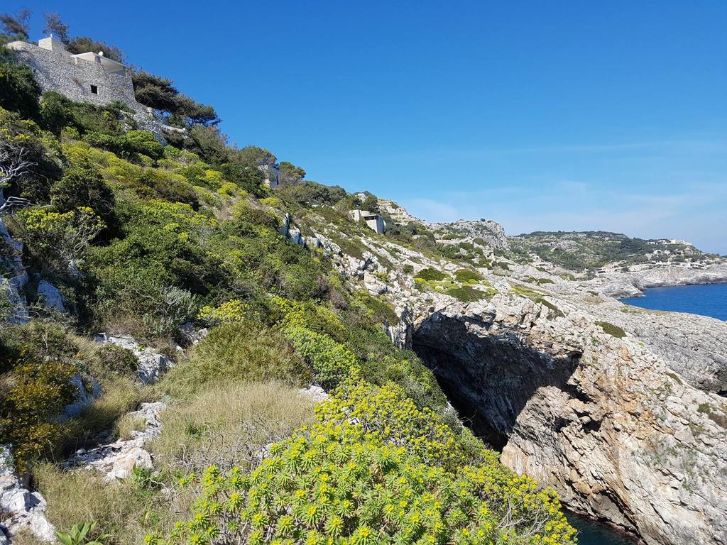Villa Bocca Del Pozzo Gagliano del Capo Zewnętrze zdjęcie